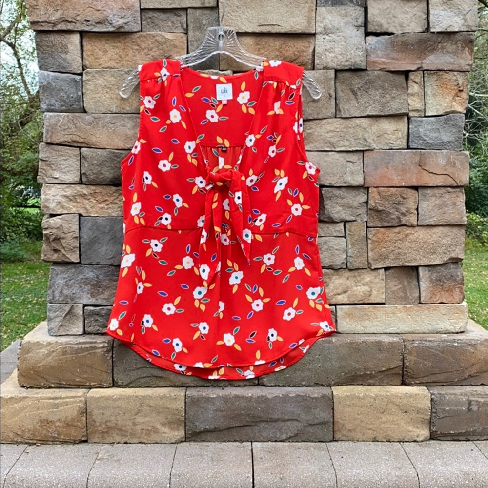 CAbi blouse